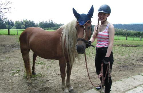 Ferienhaus Zopfhäusl - Foto 28