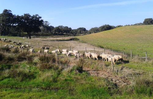 Taipa 2 - Casas de Campo do Junqueirinho - Foto 19