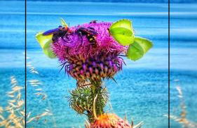 Hotel Alexandra - Foto 32