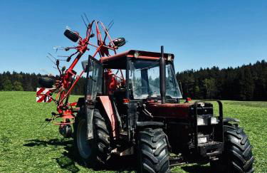 Moarhof Hackling - Ferienwohnung Anian - Foto 18