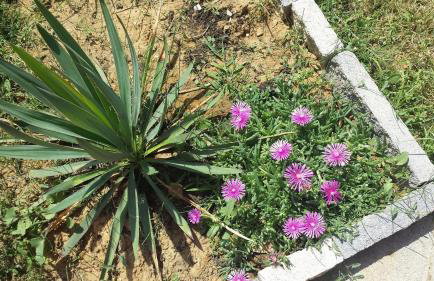 Nina Villa - Foto 65