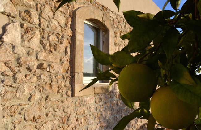 Scilla Maris Charming Suites-Restaurant - Foto 76