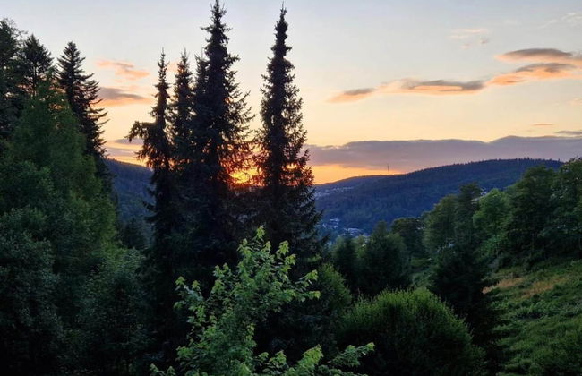 Spa Apartment at Parkblick - Foto 27