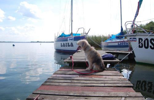 Domek Spokojna Przystań - Foto 14