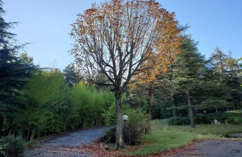Le Stagioni del Parco - Foto 59