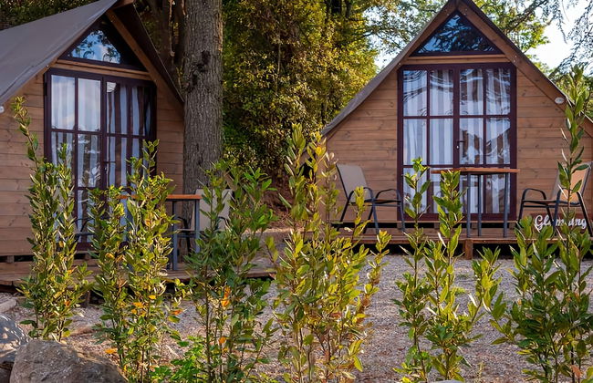 tenuta castel dell'aquila - Photo 10