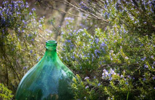 Podere Mencoini, stylish villa with private pool and olive garden - Photo 19