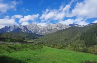 Apartamento Picos de Europa - Foto 15