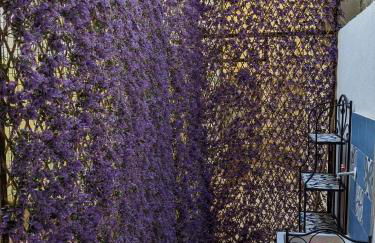 Mola Mola Beach House - Photo 7