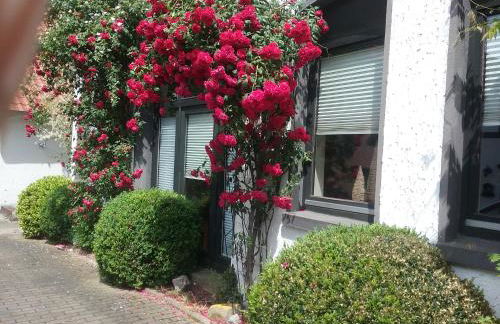 Altstadt-Apartment Petershagen - Foto 4