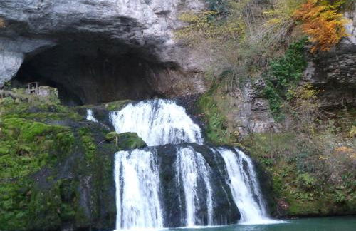 L'Aristoloche - Foto 29