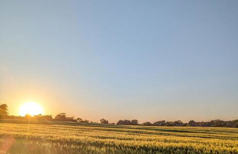 Heimathafen Langballigholz - Foto 32