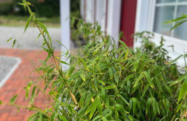 Muggelhuus das Loft mit Elbdeichblick im Alten Land und mit Wallbox - Photo 37