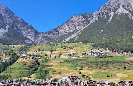 Residence Raethia tra Bormio e Livigno & Casa Emma Rasin new opening - Foto 58