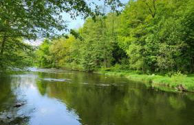 Urlaub auf dem Bauernhof - Foto 10