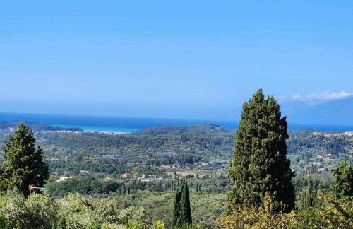 Kosta's House - Photo 39