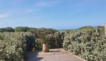 PARFUM d'OCEAN - Foto 2