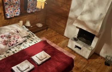 Dom z linią brzegową Narwi 3 - Photo 34