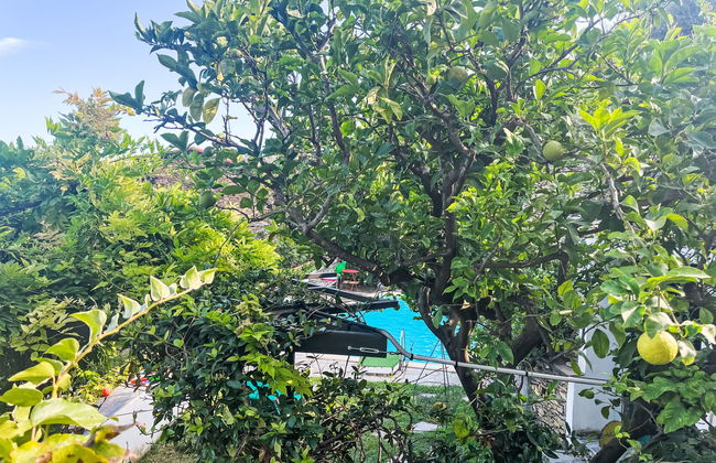 Bella Vista (DOL284) - Foto 28