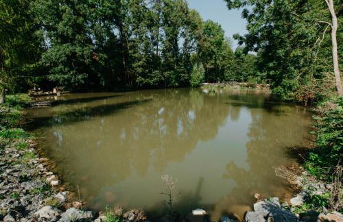 Ferienwohnung Panorama Teichblick - Foto 22