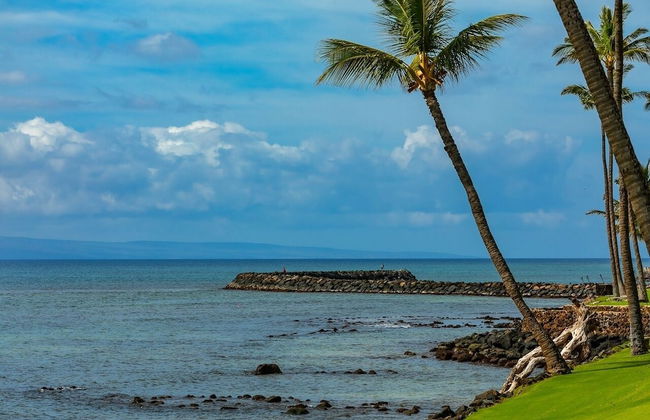 Lauloa 407 2 Bedroom Condo - Foto 33