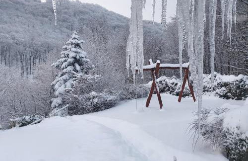 Waldhaus Harz, Natur pur mit Pool, Sauna und traumhaften Garten - Foto 34