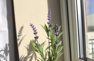 Manchester Stay Hub - 2BR with Free Parking, Near Airport & Attractions - Foto 26