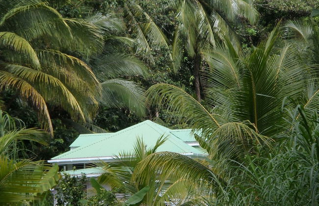 Citrus Creek Plantation - Photo 13