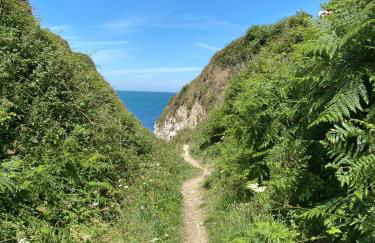 Gîte Adaméo - Foto 14