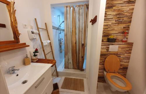 Studio19 Cosy Sauna Jacuzzi et jardinet privatifs - Foto 16