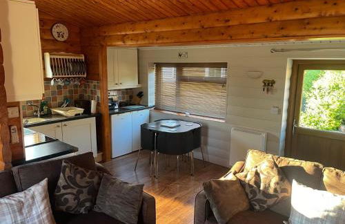 Home From Home LogCabin - Foto 8