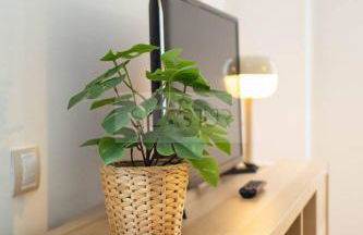 Permastur Cabañaquinta By Silastur - Foto 11