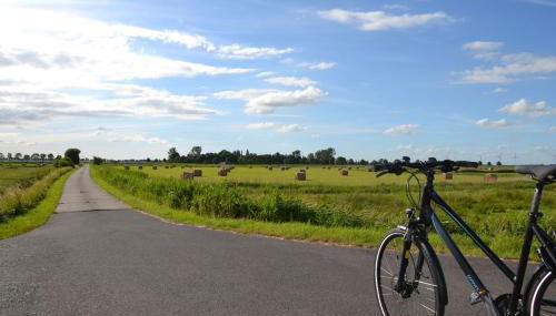 Ferienwohnung Storchennest 25503 - Foto 2