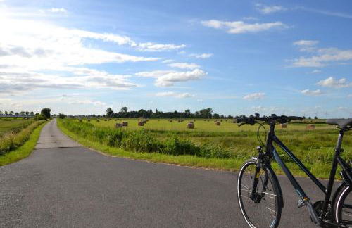 Ferienwohnung Storchennest 25503 - Foto 2
