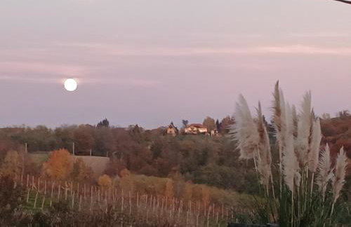 Tweet Apartments with Sauna and optional Breakfast Close To Terme Sveti Martin - Foto 21