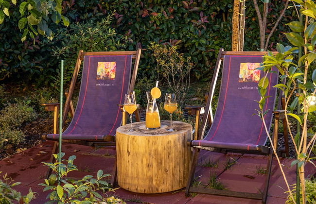 Vale de São Torcato Houses and Wine Bar - Photo 47