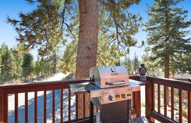 Mountain Bear Lodge - Foto 40