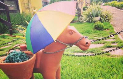 Flat em Serra Negra - PE - Próximo Bodega de Véio, shows e eventos - Foto 6