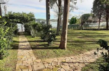 I Fiori nel golfo di Baratti - Foto 31