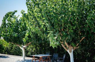 Gravaris House - Foto 55