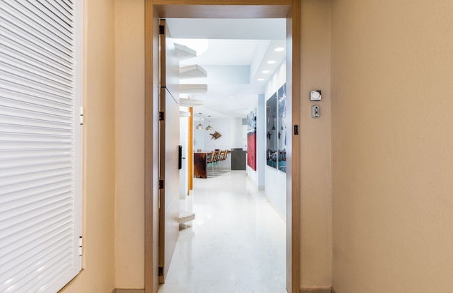 Del Canto PH 10D by Kivoya - Foto 2