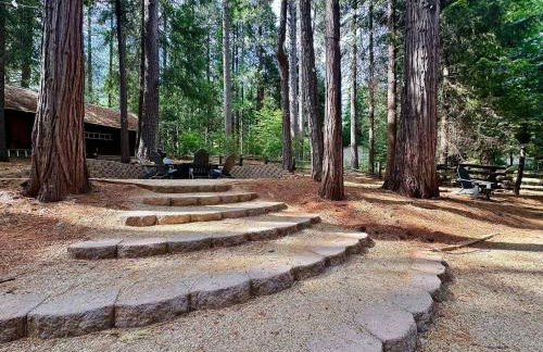 Cabin in the Trees-Game Room - Foto 47