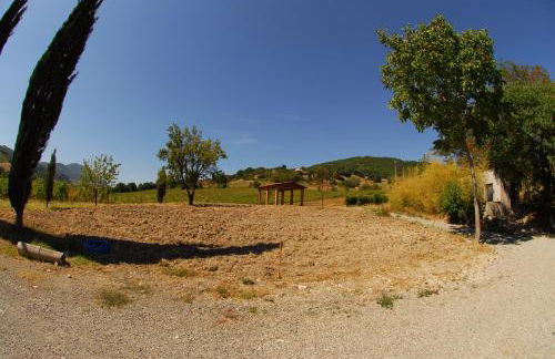 Podere Pradarolo - Photo 22