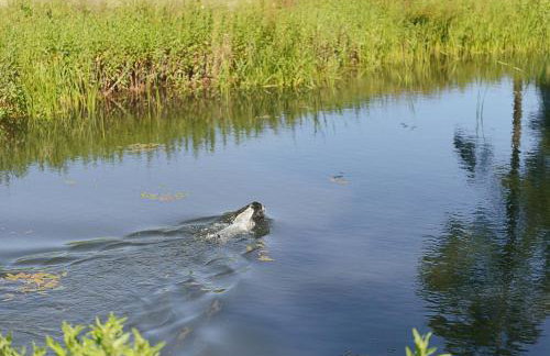 Wood Farm Dairy - Foto 25