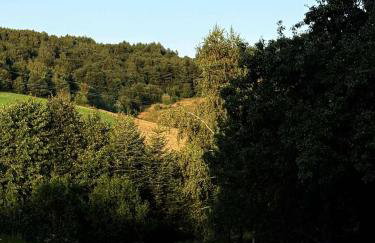 Dom Wakacyjny Brzozowy Gaj Bieszczady - Foto 45