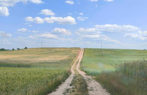 Villa Stare Osieczno - Foto 65