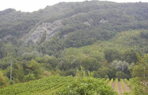 La Colombarola Agriturismo - Foto 38