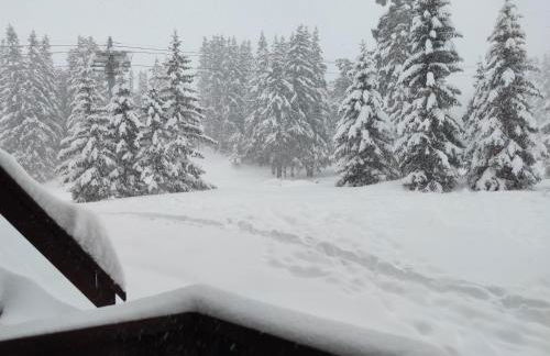 Douglas - Appartement au cœur du Jardin Alpin - Foto 11