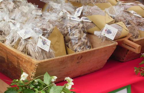 Villa Poggio al Sole Bio Agriturismo private pool - Foto 44