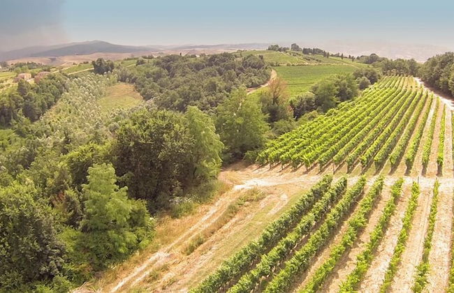 Fattoria Fibbiano - Foto 78